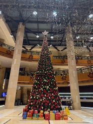 -上海浦东喜来登由由大酒店·宴会厅