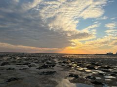 -北海金海湾红树林生态旅游区