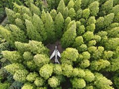 -东平国家森林公园