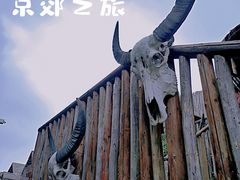 -呀路古热带植物园