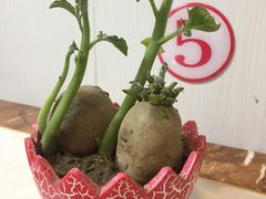 -金太太速食(北下关店)