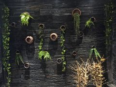 -一只烧鸡公(解放碑店)