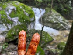 -牛背梁国家森林公园