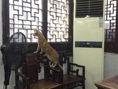 -吾介小籠館