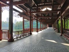 -重庆彩云湖湿地公园