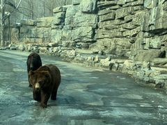 -北京野生动物园