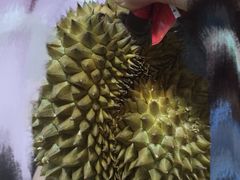 -叶氏兄弟果业(大连鲁迅店)