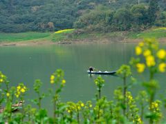 新安江山水画廊-新安江山水画廊风景区