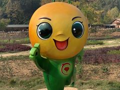 -千年银杏谷文化旅游区