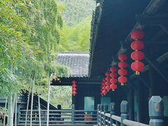 -大唐贡茶院