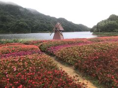 -广州市石门国家森林公园