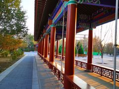 -莲花池公园