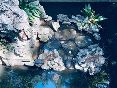 -杭州上天竺法喜讲寺