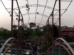 -漳泽水库水上公园