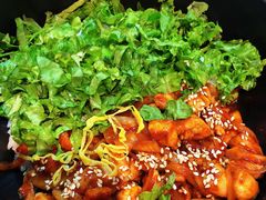超燃辣炒鸡肉饭-鱼籽村秘制拌饭(崇文门店)