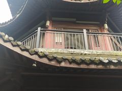 -杭州半山国家森林公园