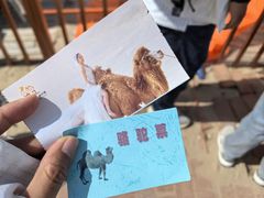 -库伦旗银沙湾旅游景区