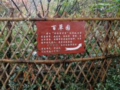 -上海市保健医疗中心