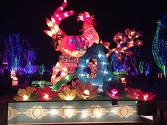 -济南国际园博园