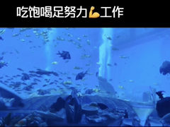 -亚特兰蒂斯•OSSIANO奥西亚诺海底餐厅