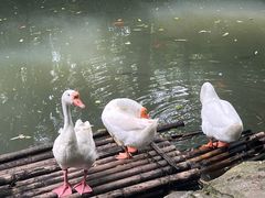 -兰亭风景区