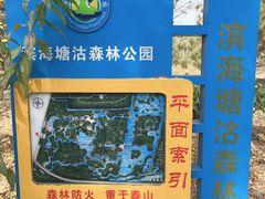 -塘沽森林公园