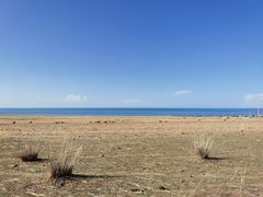 -青海湖国家重点风景名胜区