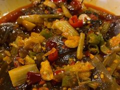 -福苗小骆驼烧烤(太奥广场店)