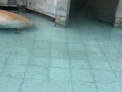 -碧水湾温泉