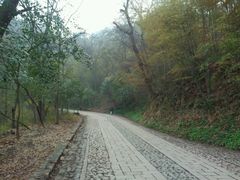 android_upload_pic-紫金山天文台