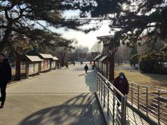 -二一九公园