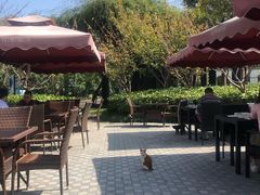 -荷风细雨·中国茶宴(碧云店)