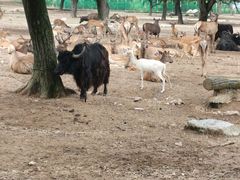 -西安秦岭野生动物园
