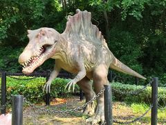 -金钉子远古世界景区