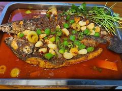 -沈胖子音乐烤吧·炒菜·龙虾(环城东路店)