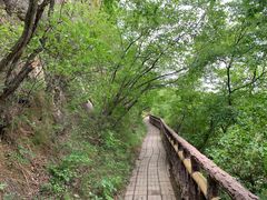 -圣莲山风景区