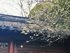 -钱王祠