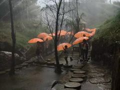 -雪山彩虹谷景区
