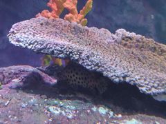 -沈阳海洋探索中心