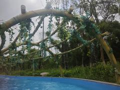 -太阳岛沙滩泳场水上乐园