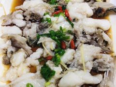 石头鱼-星龙海鲜(望江东路店)