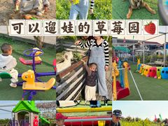-小鱼草莓采摘园农家乐·小鱼餐厅