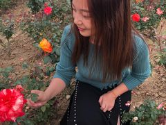 -龙寺生态园