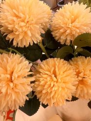 -茜尔维亚修身连锁(杨浦五角场店)