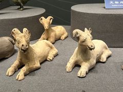 -广西壮族自治区博物馆