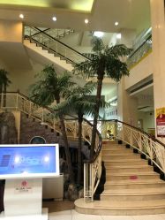 -五洲妇儿医院