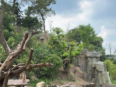 -宁波野生动物园