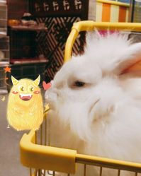 -萌兔星空蹦床撸兔馆