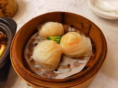 虾饺-荣誉海鲜酒楼(海湾店)