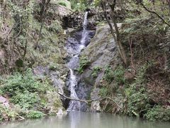 -宁波市保国寺古建筑博物馆